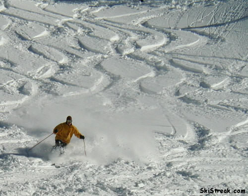 ColdSmoke on a great powder day